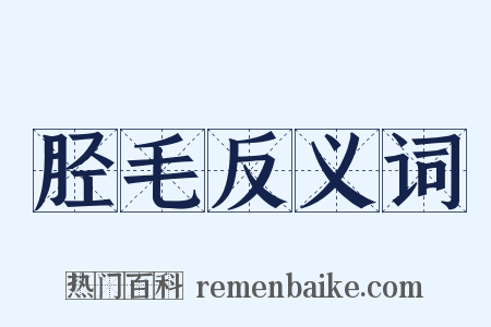 胫毛反义词是什么意思的图片